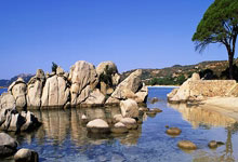 天涯论坛的爱情故事